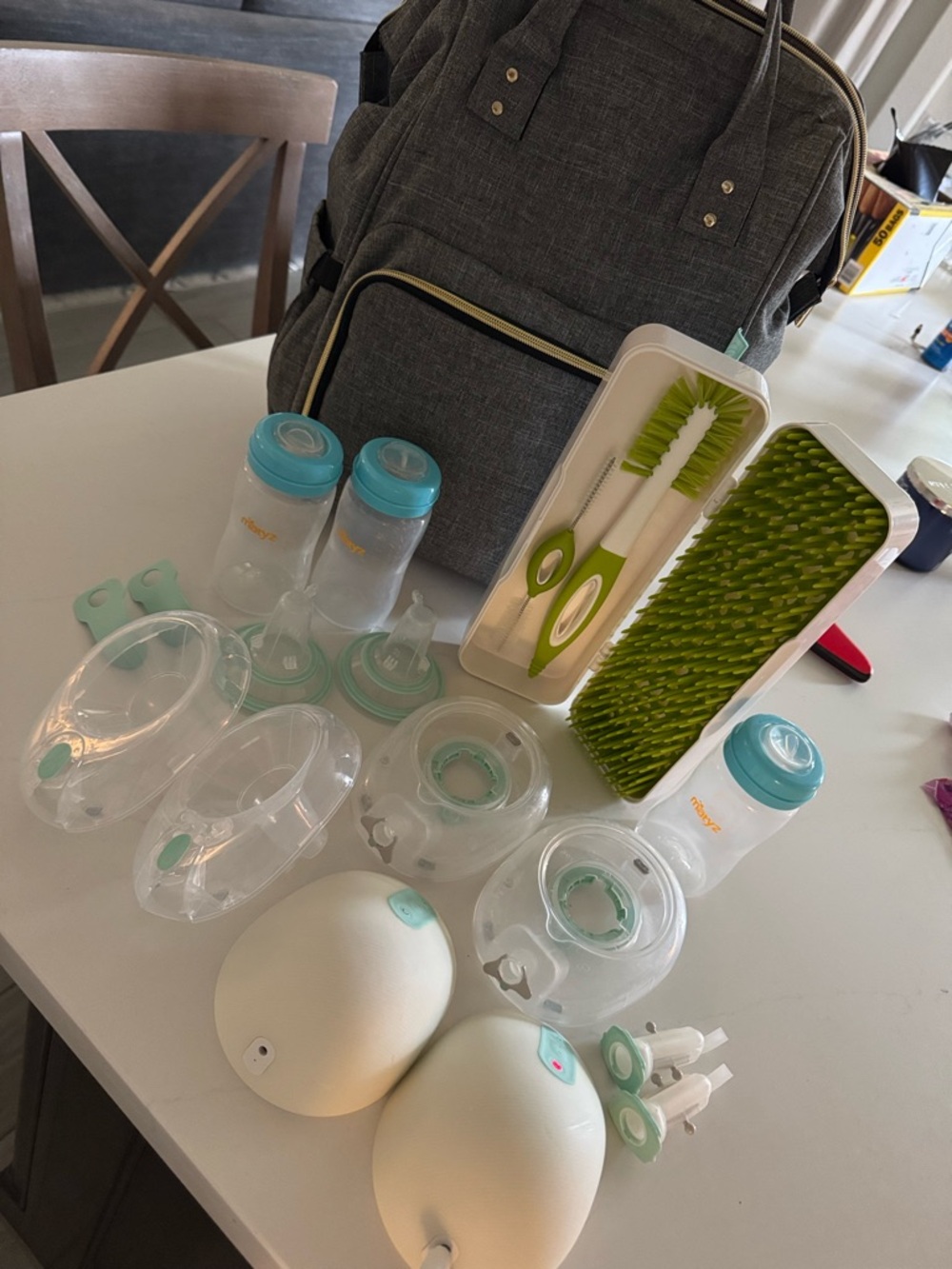 Willow Pump Accessory Set including all parts cleaner and bag